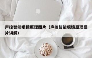 声控智能眼镜原理图片（声控智能眼镜原理图片讲解）