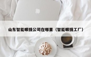 山东智能眼镜公司在哪里（智能眼镜工厂）