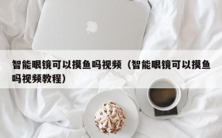 智能眼镜可以摸鱼吗视频（智能眼镜可以摸鱼吗视频教程）